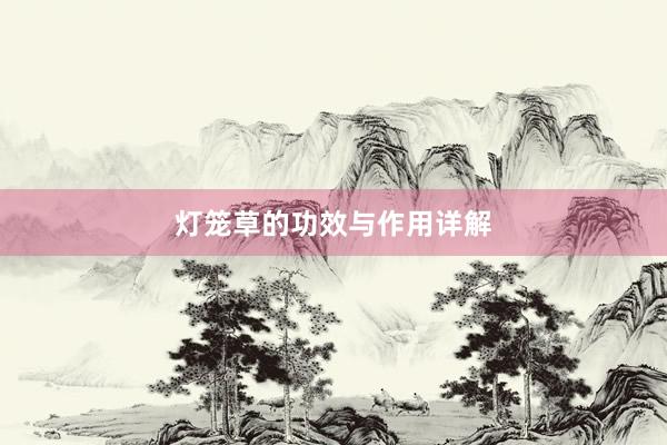 灯笼草的功效与作用详解